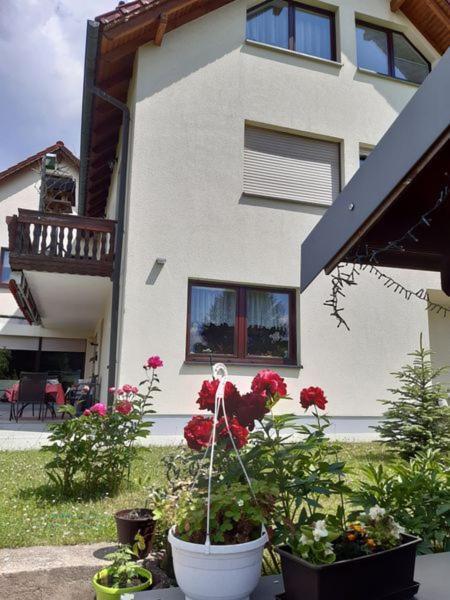 Thüringer Zimmer Suhl Exterior foto
